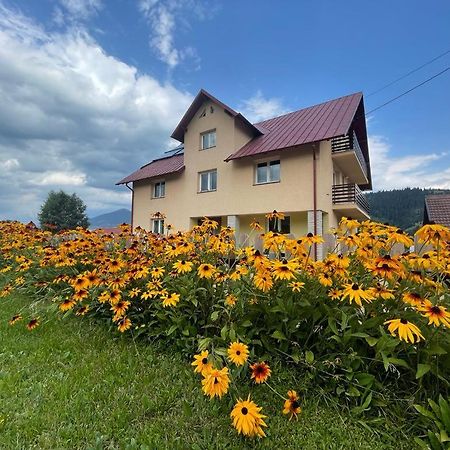 Pensiunea Gentiana Vatra Dornei Exterior foto