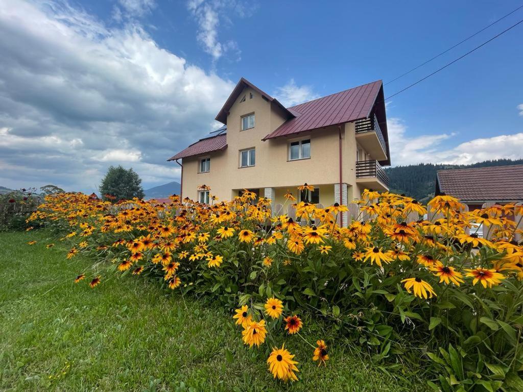 Pensiunea Gentiana Vatra Dornei Exterior foto